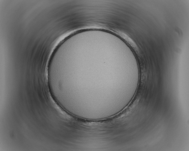 X0000113111380200909181619