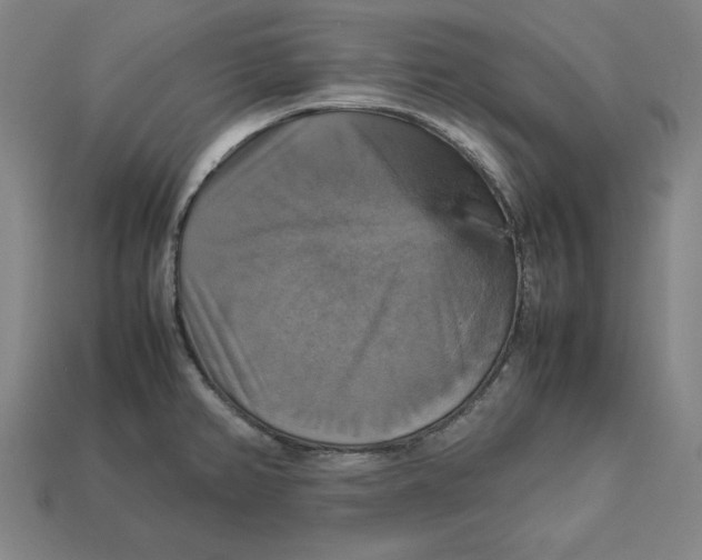 X0000113111382200909181619