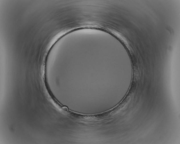 X0000113111383200909181619