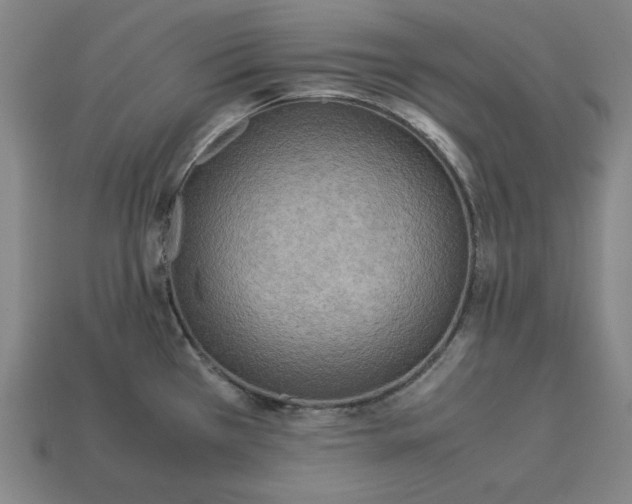 X0000113111385200909181619