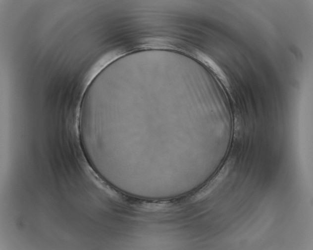 X0000113111386200909181619