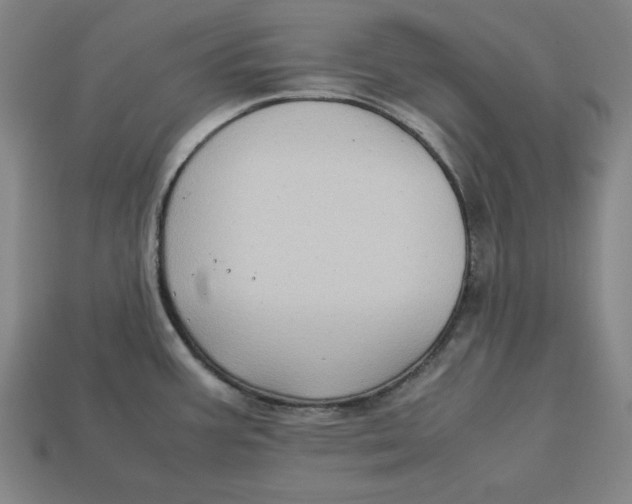 X0000113111387200909181619