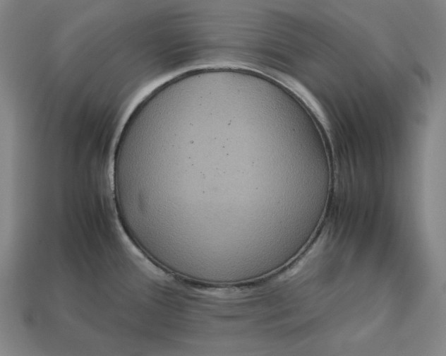 X0000113111388200909181619