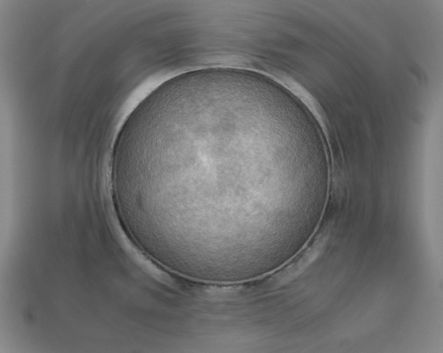 X0000113111389200909181619