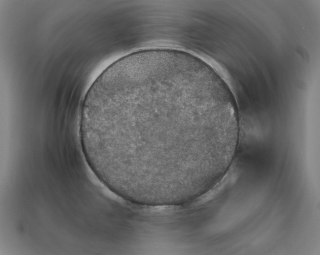 X0000113111390200909181619