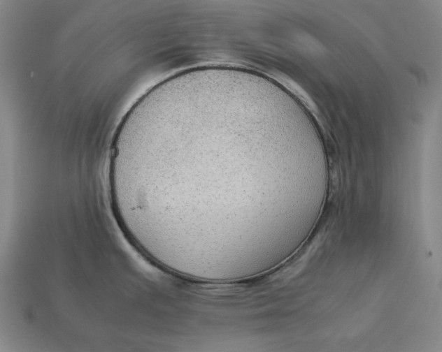 X0000113111391200909181619