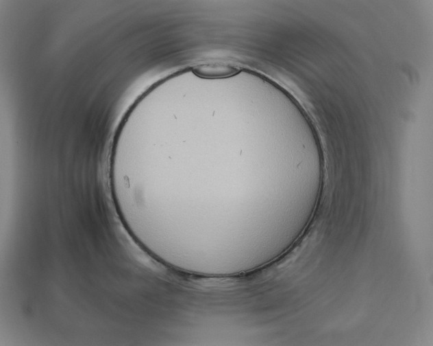 X0000113111392200909181619