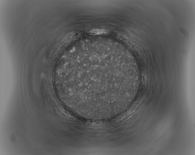 X0000113111393200909181618