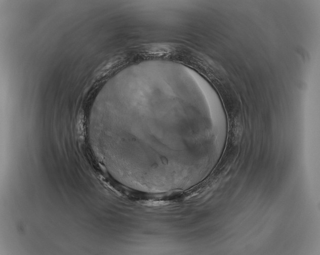 X0000113111394200909181618