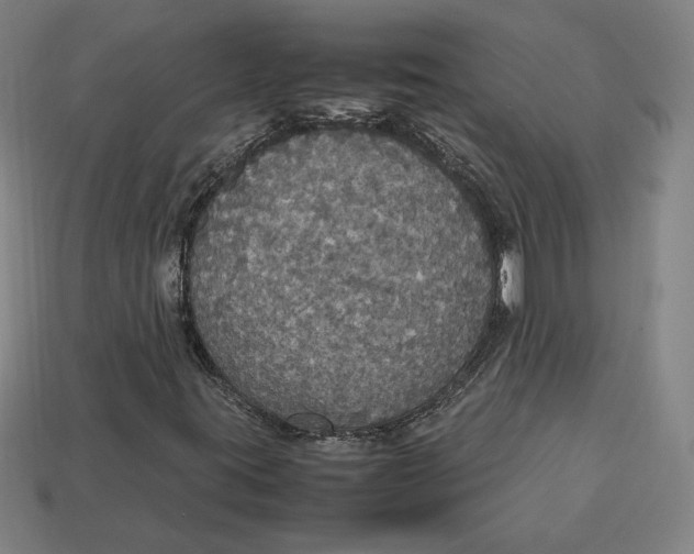 X0000113111395200909181618