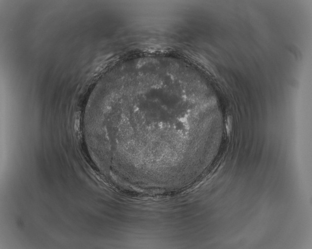 X0000113111396200909181618