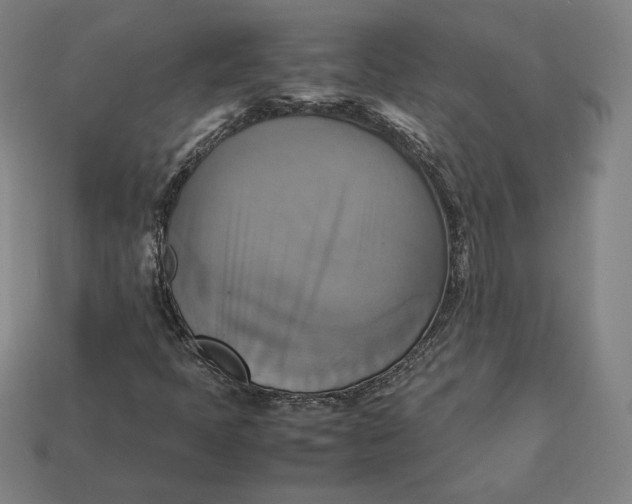 X0000113111397200909181618