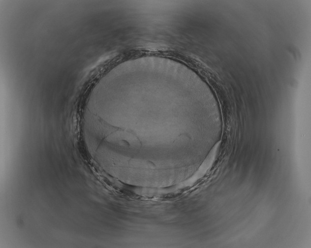 X0000113111398200909181618