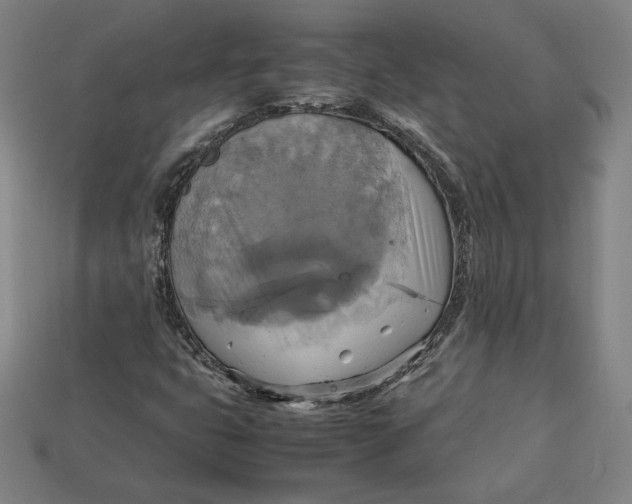 X0000113111399200909181618