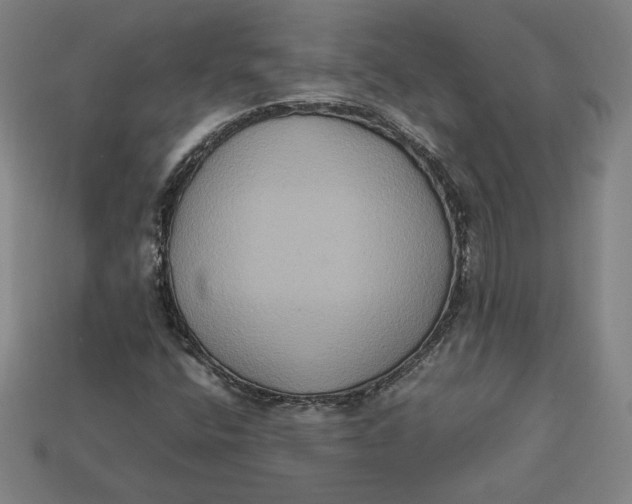 X0000113111400200909181618