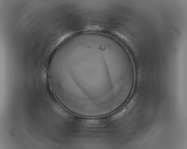 X0000113111401200909181618
