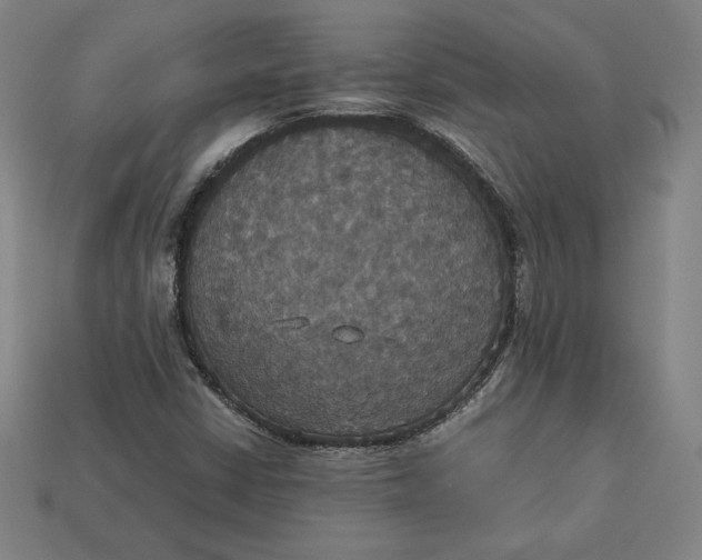 X0000113111402200909181618