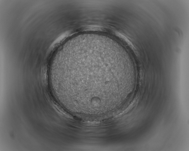 X0000113111403200909181618
