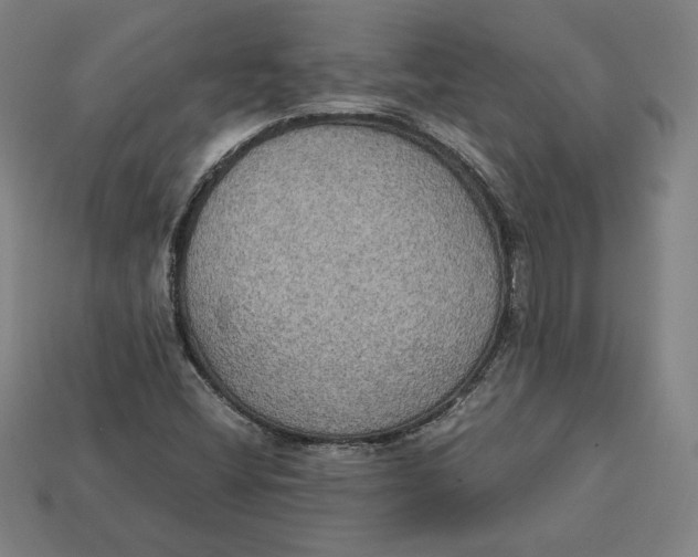 X0000113111404200909181618
