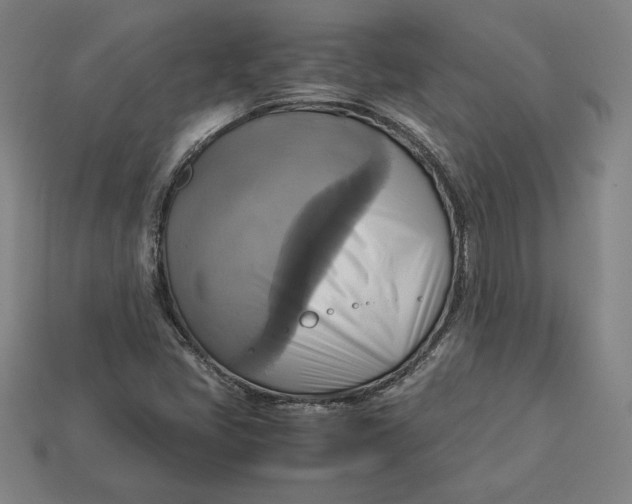 X0000113111405200909181618