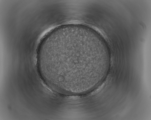 X0000113111406200909181618