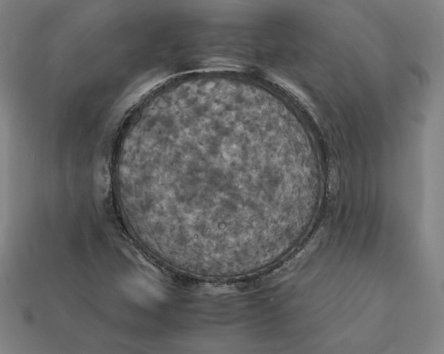 X0000113111407200909181618