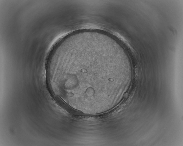 X0000113111408200909181618
