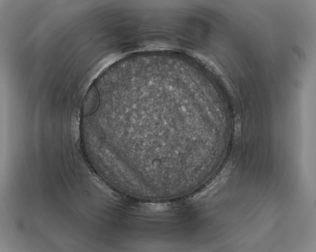 X0000113111409200909181618