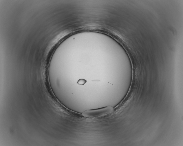X0000113111410200909181618