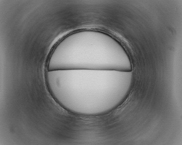 X0000113111412200909181618