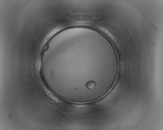X0000113111413200909181618