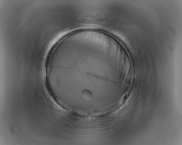X0000113111414200909181619