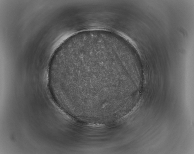 X0000113111415200909181619