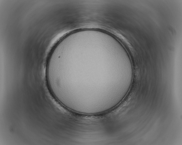 X0000113111416200909181619