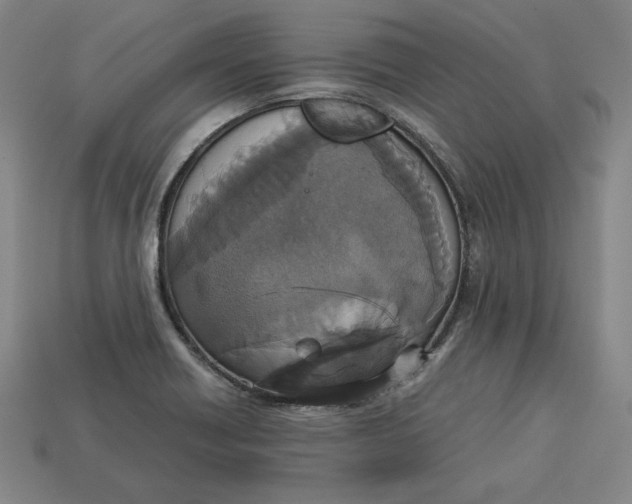 X0000113111418200909181619