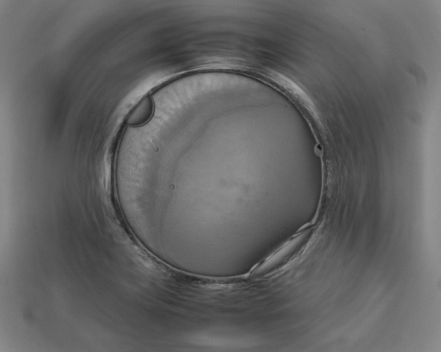 X0000113111419200909181619