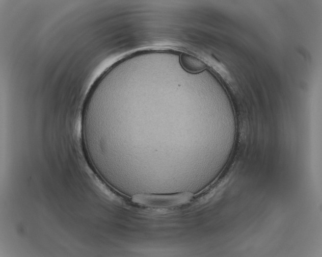 X0000113111420200909181619