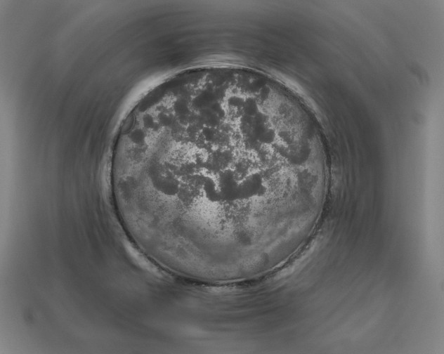 X0000113111421200909181619