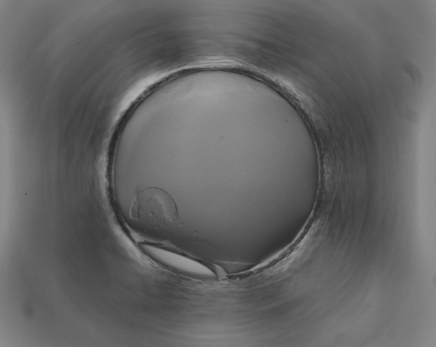 X0000113111422200909181619