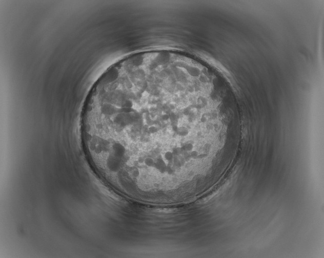 X0000113111423200909181619