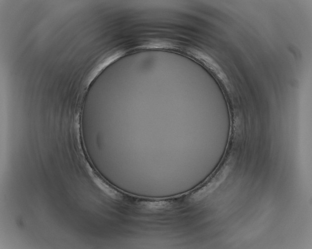 X0000113111425200909181619