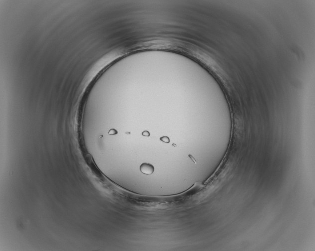 X0000113111426200909181619