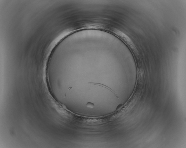 X0000113111427200909181619