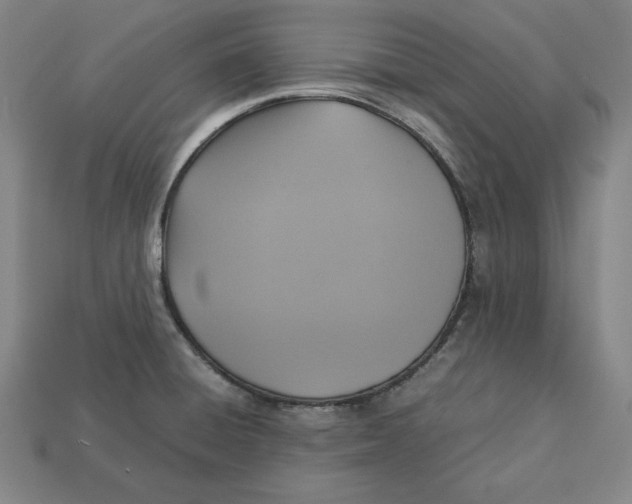 X0000113111428200909181619