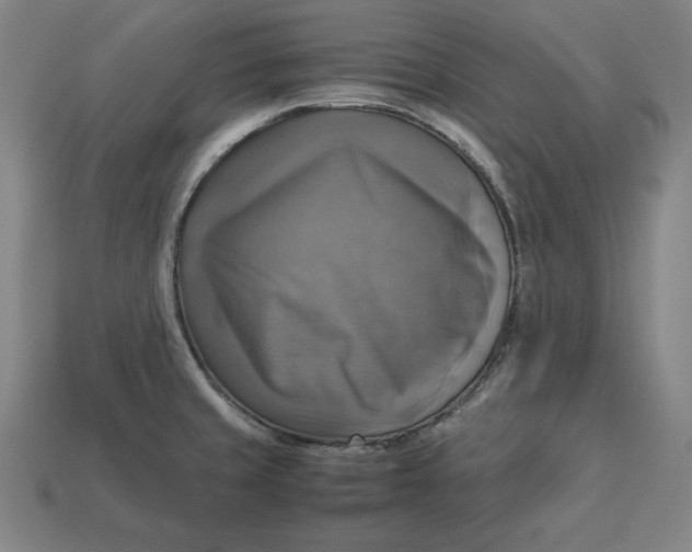 X0000113111429200909181619