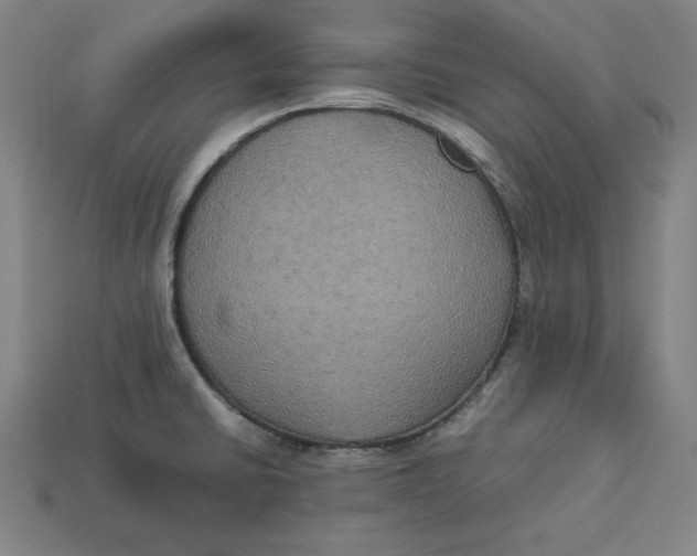 X0000113111430200909181619