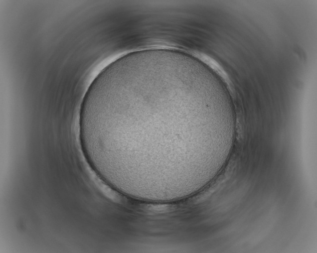 X0000113111431200909181619