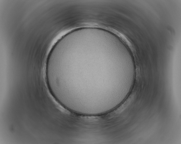 X0000113111432200909181619