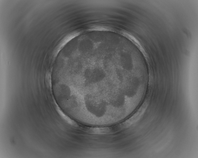 X0000113111433200909181619