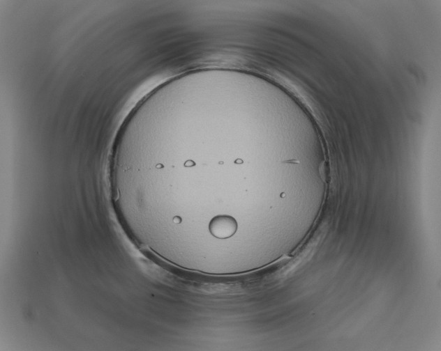 X0000113111434200909181619
